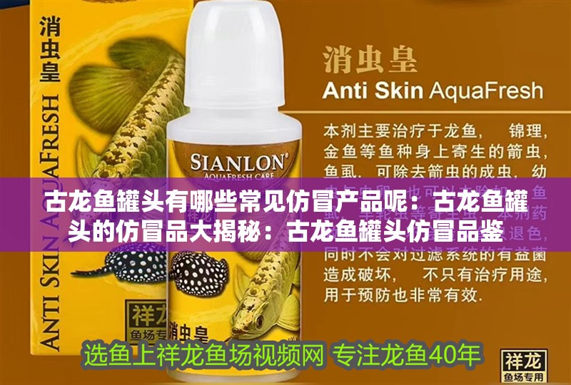 古龍魚罐頭有哪些常見仿冒產(chǎn)品呢：古龍魚罐頭的仿冒品大揭秘：古龍魚罐頭仿冒品鑒