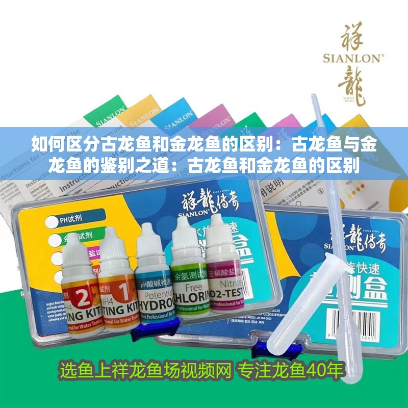 如何區分古龍魚和金龍魚的區別：古龍魚與金龍魚的鑒別之道：古龍魚和金龍魚的區別