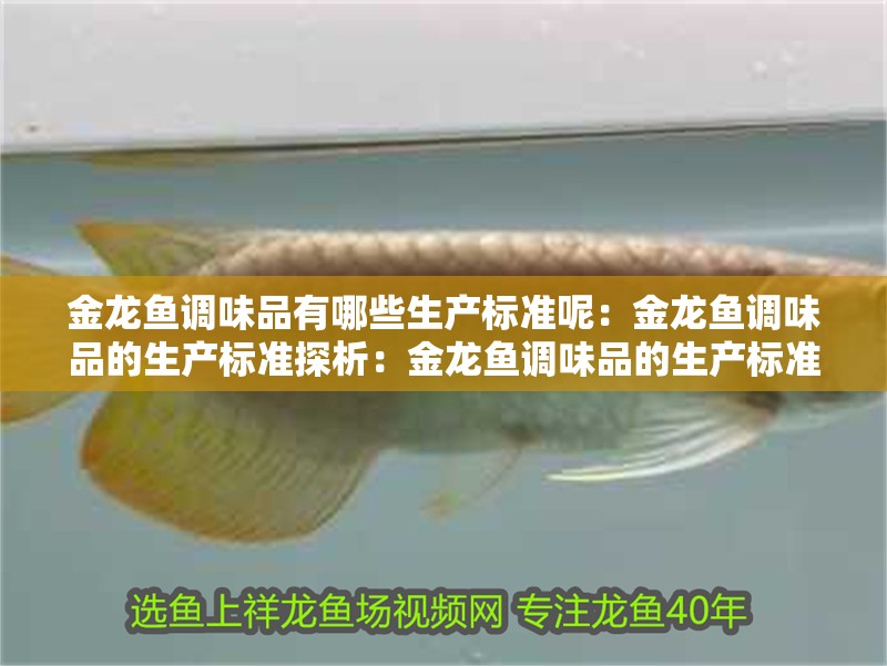 金龍魚調味品有哪些生產標準呢：金龍魚調味品的生產標準探析：金龍魚調味品的生產標準