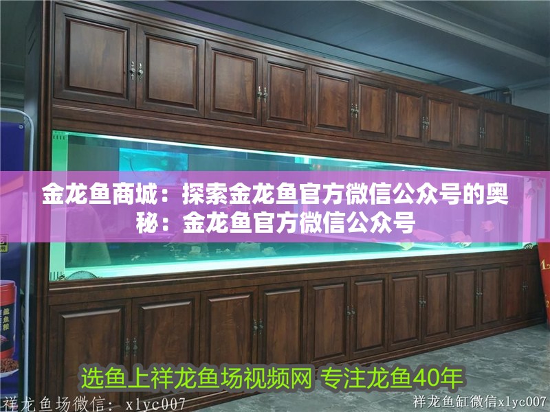 金龍魚商城：探索金龍魚官方微信公眾號的奧秘：金龍魚官方微信公眾號