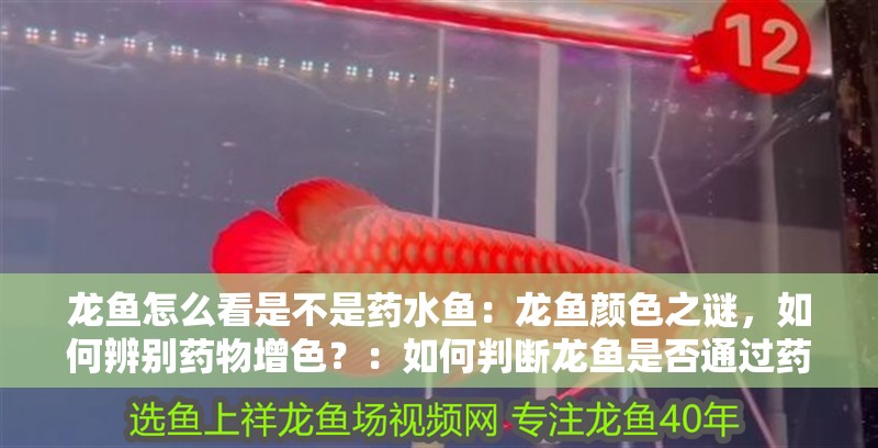 龍魚怎么看是不是藥水魚：龍魚顏色之謎，如何辨別藥物增色？：如何判斷龍魚是否通過藥物增色