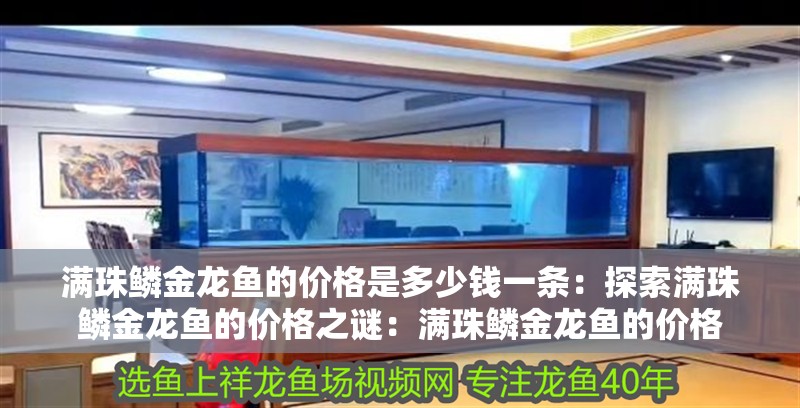 滿珠鱗金龍魚的價格是多少錢一條：探索滿珠鱗金龍魚的價格之謎：滿珠鱗金龍魚的價格
