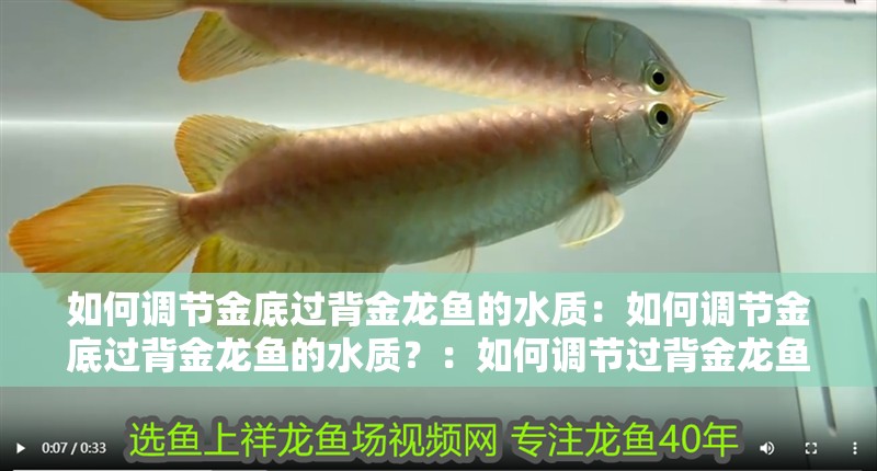 如何調節金底過背金龍魚的水質：如何調節金底過背金龍魚的水質？：如何調節過背金龍魚的水質