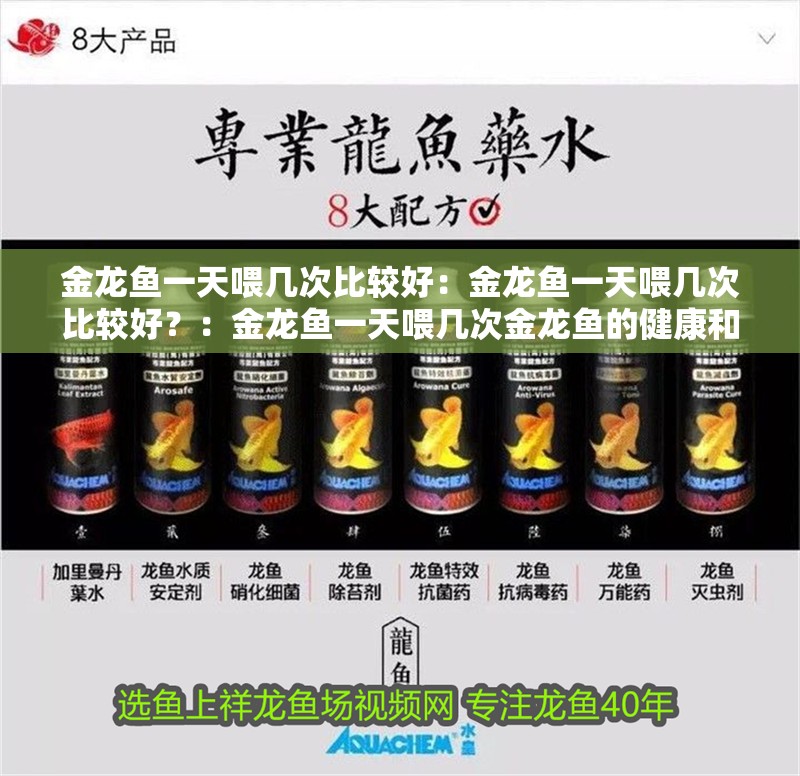 金龍魚一天喂幾次比較好：金龍魚一天喂幾次比較好？：金龍魚一天喂幾次金龍魚的健康和活力至關重要飼養(yǎng)方法