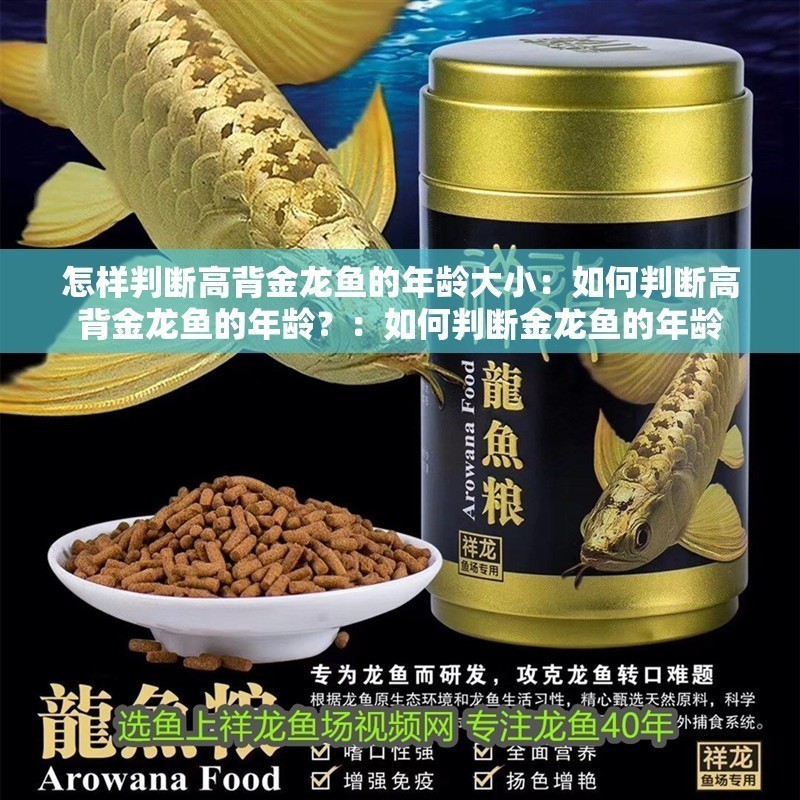 怎樣判斷高背金龍魚的年齡大小：如何判斷高背金龍魚的年齡？：如何判斷金龍魚的年齡
