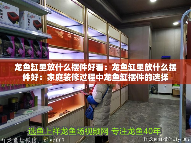 龍魚缸里放什么擺件好看：龍魚缸里放什么擺件好：家庭裝修過程中龍魚缸擺件的選擇