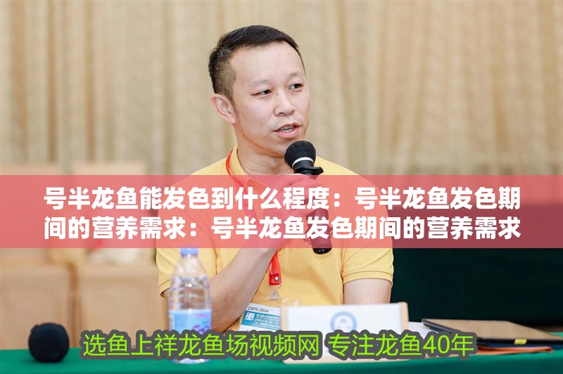 號半龍魚能發色到什么程度：號半龍魚發色期間的營養需求：號半龍魚發色期間的營養需求