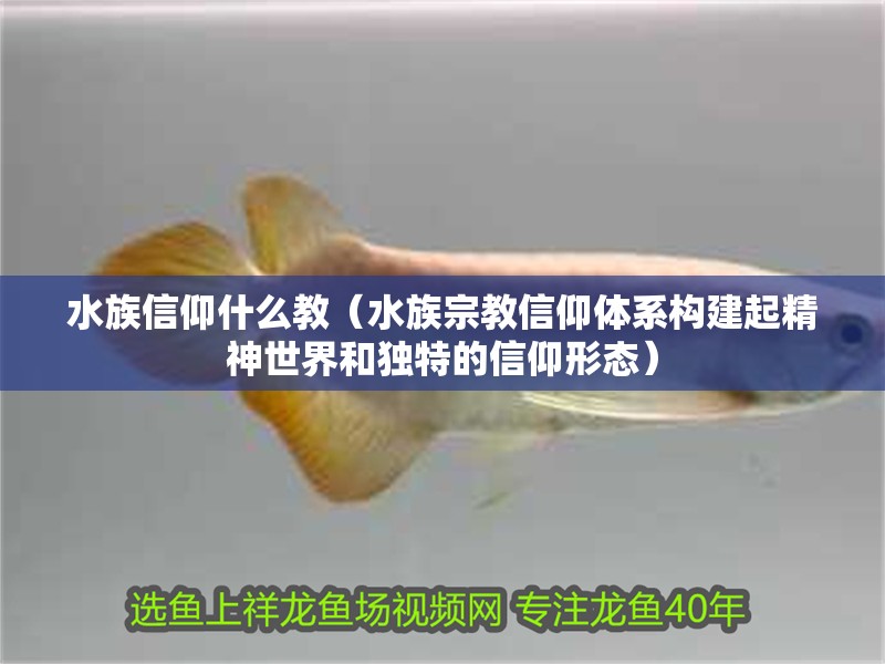 水族信仰什么教（水族宗教信仰體系構建起精神世界和獨特的信仰形態）