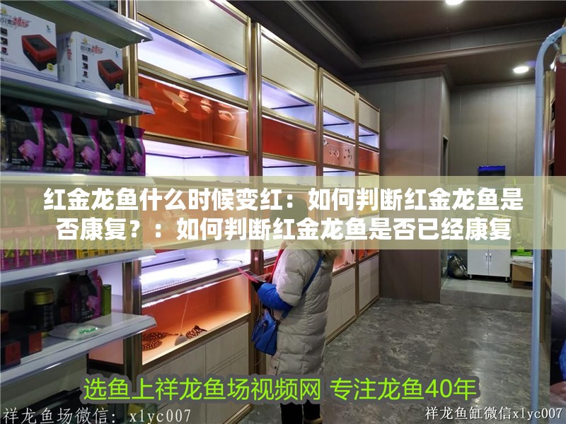 紅金龍魚什么時候變紅：如何判斷紅金龍魚是否康復？：如何判斷紅金龍魚是否已經康復