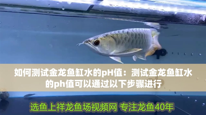 如何測試金龍魚缸水的pH值：測試金龍魚缸水的ph值可以通過以下步驟進行