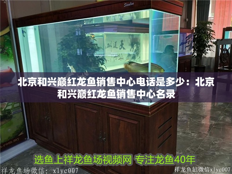 <strong><mark>北京</mark></strong>和興巔紅龍魚銷售中心電話是多少：<strong><mark>北京</mark></strong>和興巔紅龍魚銷售中心名錄