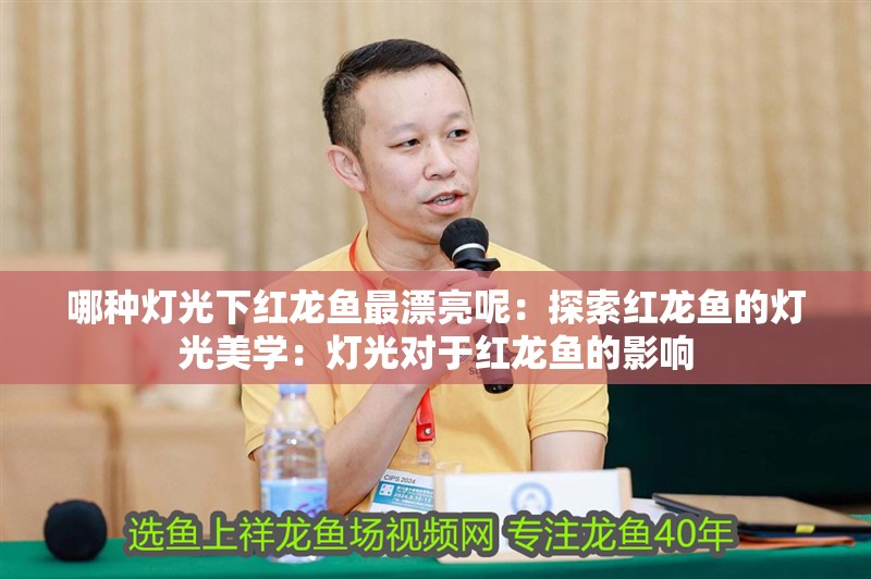哪種燈光下紅龍魚最漂亮呢：探索紅龍魚的燈光美學：燈光對于紅龍魚的影響
