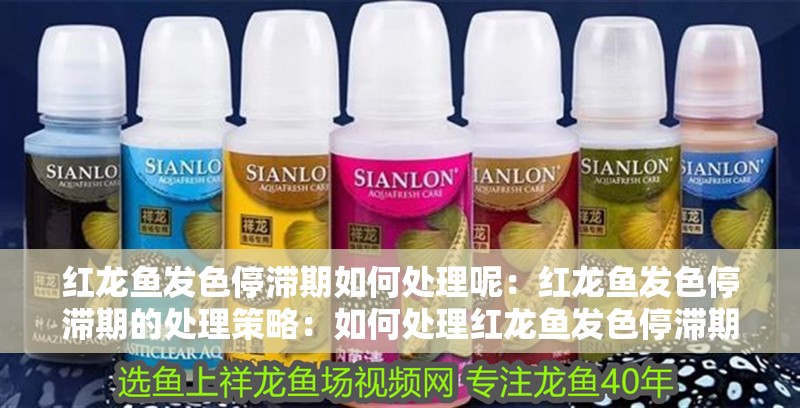 紅龍魚發色停滯期如何處理呢：紅龍魚發色停滯期的處理策略：如何處理紅龍魚發色停滯期