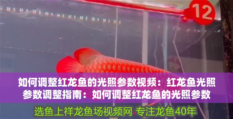 如何調整紅龍魚的光照參數視頻：紅龍魚光照參數調整指南：如何調整紅龍魚的光照參數