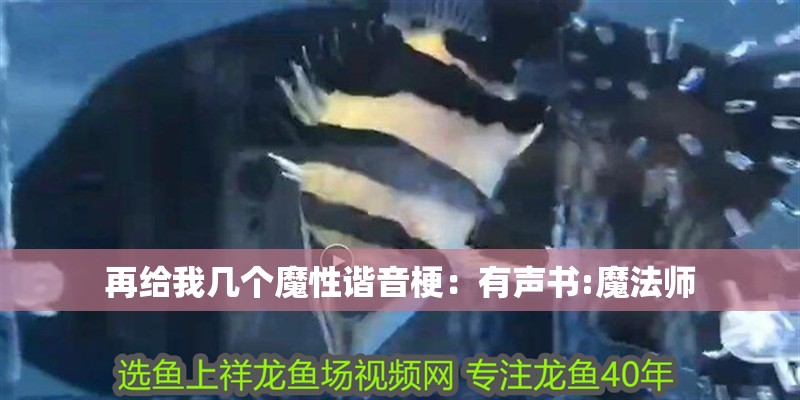再給我幾個魔性諧音梗：有聲書:魔法師