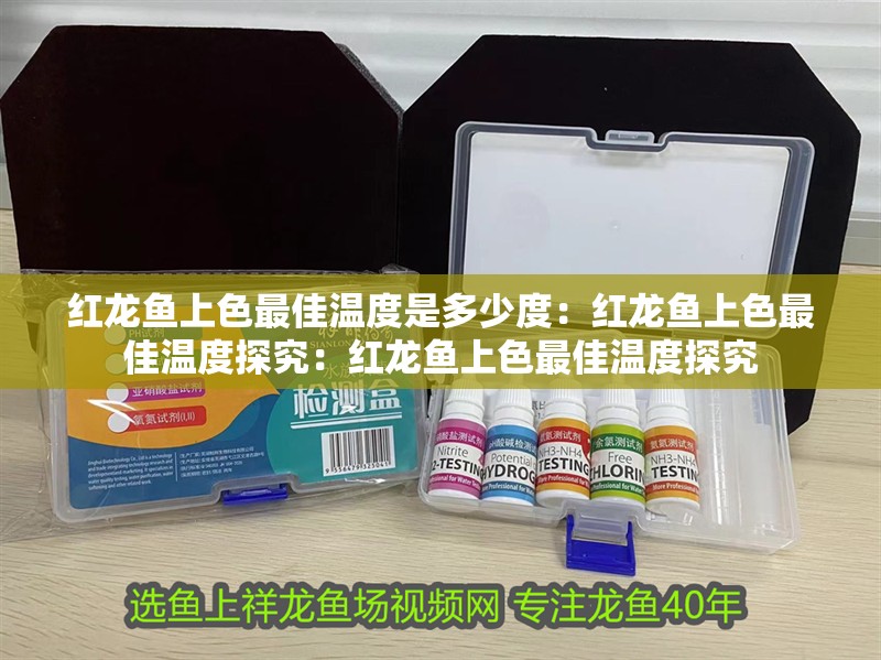 紅龍魚上色最佳溫度是多少度：紅龍魚上色最佳溫度探究：紅龍魚上色最佳溫度探究