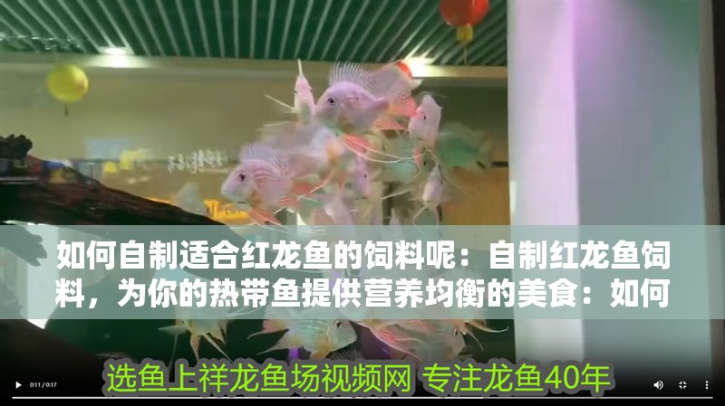 如何自制適合紅龍魚的飼料呢：自制紅龍魚飼料，為你的熱帶魚提供營養均衡的美食：如何自制紅龍魚的飼料