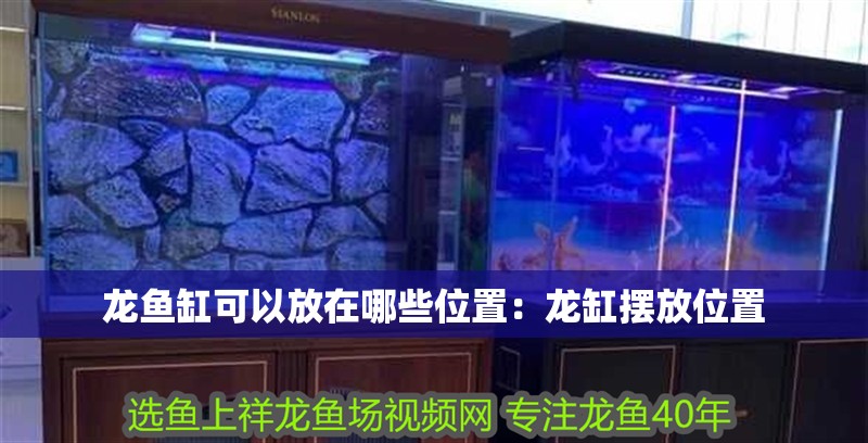 龍魚(yú)缸可以放在哪些位置：龍缸擺放位置 龍魚(yú)缸可以放在哪些位置：龍缸擺放位置 龍魚(yú)百科