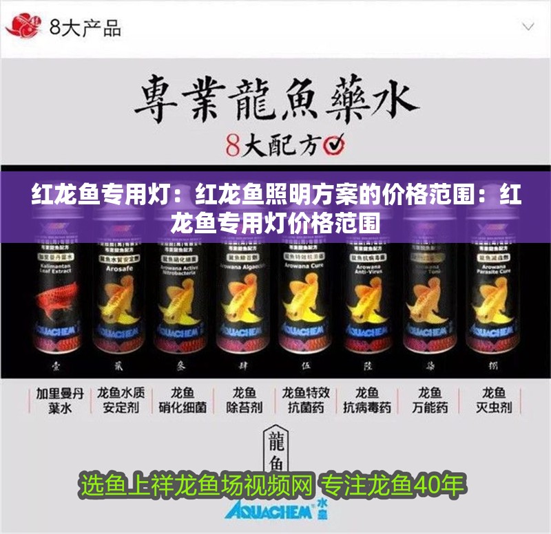 紅龍魚專用燈：紅龍魚照明方案的價格范圍：紅龍魚專用燈價格范圍