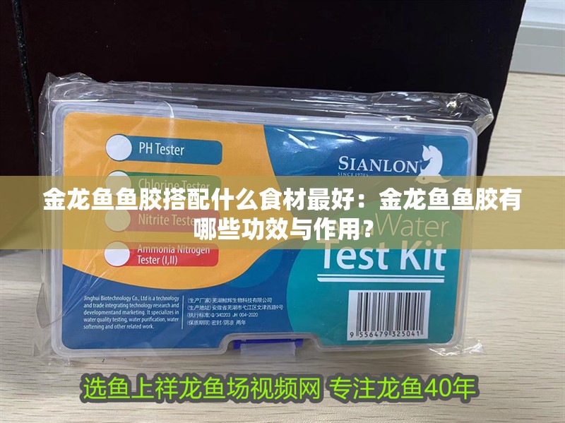 金龍魚魚膠搭配什么食材最好：金龍魚魚膠有哪些功效與作用？