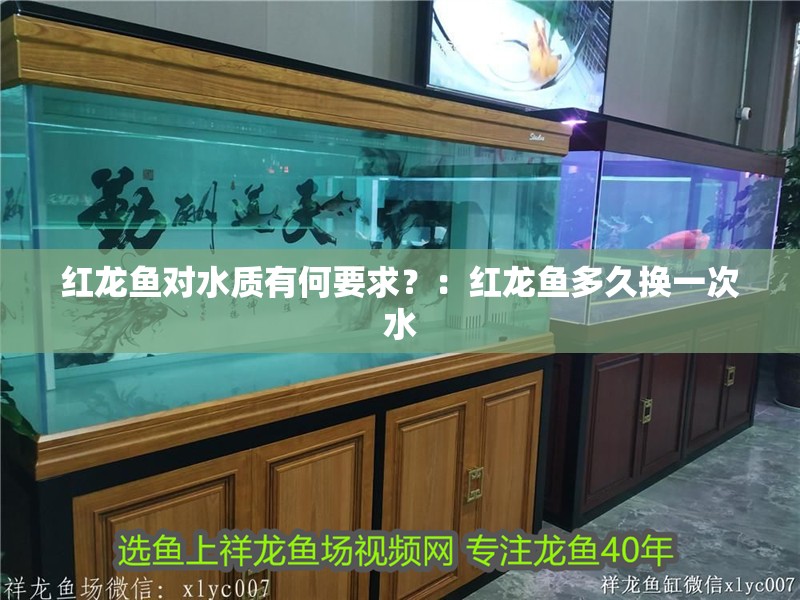 紅龍魚對水質有何要求？：紅龍魚多久換一次水