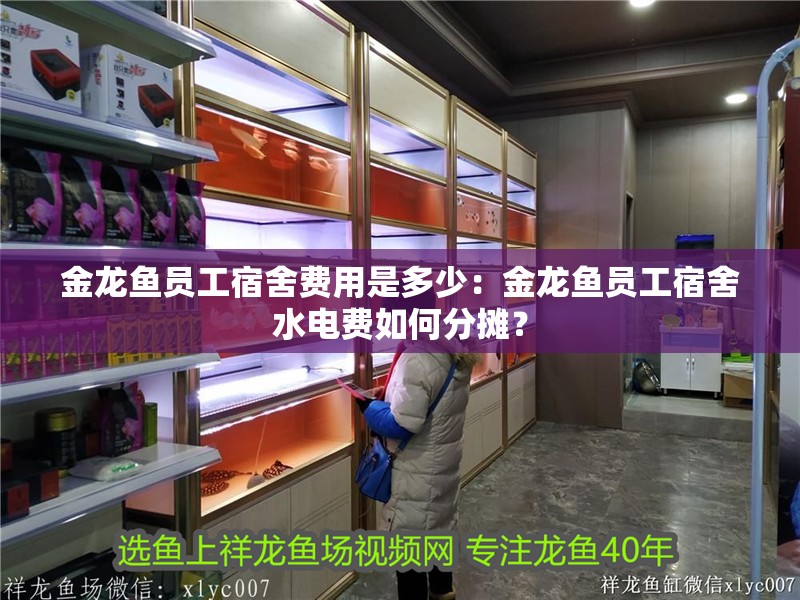 金龍魚員工宿舍費用是多少：金龍魚員工宿舍水電費如何分攤？