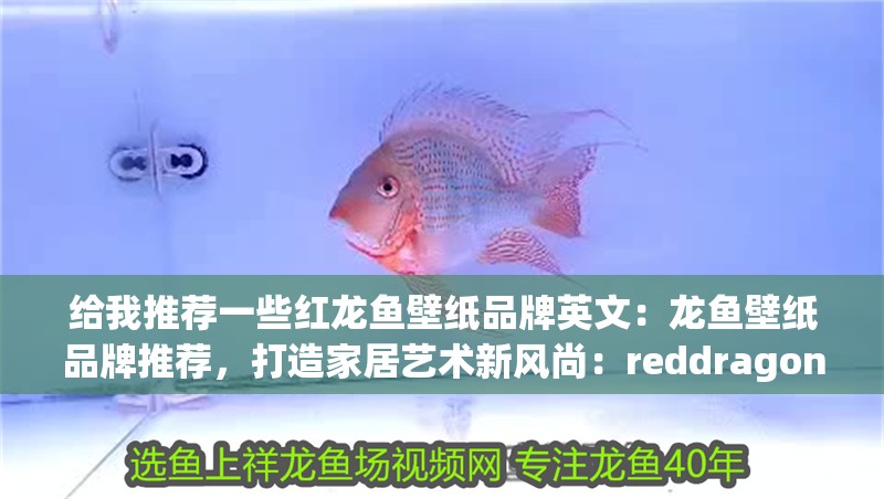 給我推薦一些紅龍魚壁紙品牌英文：龍魚壁紙品牌推薦，打造家居藝術新風尚：reddragonfishwallpaper