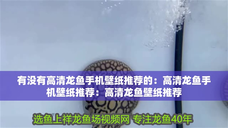 魚缸用增氧泵價格是多少:魚缸增氧機-xtrac增氧機-xtrac增氧機 有沒有高清龍魚手機壁紙推薦的:高清龍魚手機壁紙推薦:高清龍魚壁紙推薦 水族問答 有沒有高清龍魚手機壁紙推薦的:高清龍魚手機壁紙推薦:高清龍魚壁紙推薦 有沒有高清龍魚手機壁紙推薦的:高清龍魚手機壁紙推薦:高清龍魚壁紙推薦 水族問答