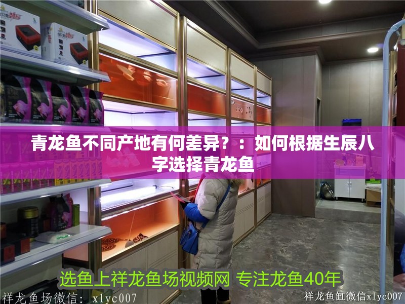 青龍魚不同產地有何差異？：如何根據生辰八字選擇青龍魚