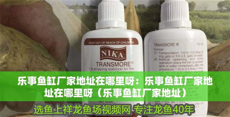 樂事魚缸廠家地址在哪里呀：樂事魚缸廠家地址在哪里呀（樂事魚缸廠家地址）