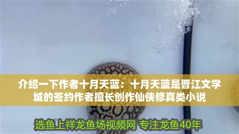 介紹一下作者十月天藍：十月天藍是晉江文學城的簽約作者擅長創(chuàng)作仙俠修真類小說