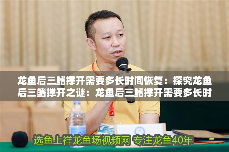 龍魚后三鰭撐開需要多長時間恢復：探究龍魚后三鰭撐開之謎：龍魚后三鰭撐開需要多長時間呢？
