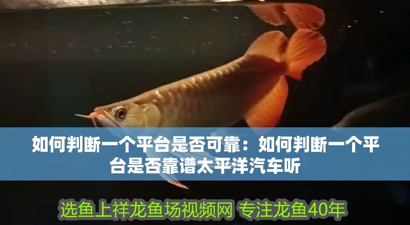 如何判斷一個平臺是否可靠：如何判斷一個平臺是否靠譜太平洋汽車聽