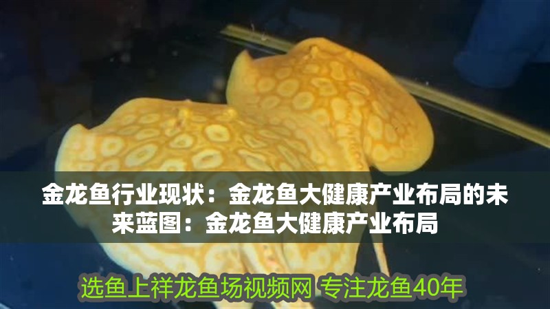 金龍魚行業(yè)現(xiàn)狀：金龍魚大健康產(chǎn)業(yè)布局的未來藍圖：金龍魚大健康產(chǎn)業(yè)布局