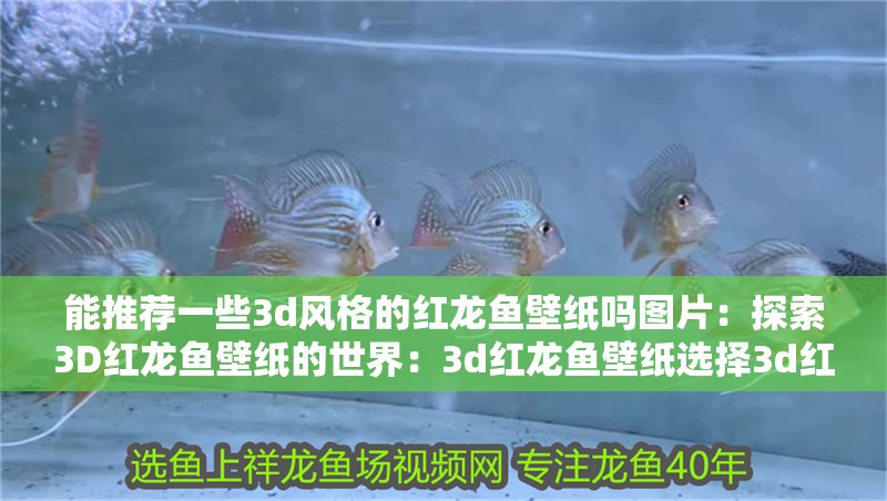能推薦一些3d風格的紅龍魚壁紙嗎圖片：探索3D紅龍魚壁紙的世界：3d紅龍魚壁紙選擇3d紅龍魚壁紙質量的重要因素及特點