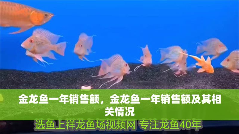 金龍魚一年銷售額，金龍魚一年銷售額及其相關(guān)情況