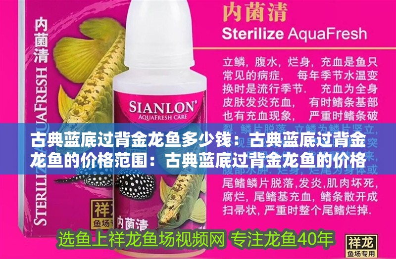 古典藍(lán)底過(guò)背金龍魚(yú)多少錢(qián)：古典藍(lán)底過(guò)背金龍魚(yú)的價(jià)格范圍：古典藍(lán)底過(guò)背金龍魚(yú)的價(jià)格是影響價(jià)格范圍的重要因素