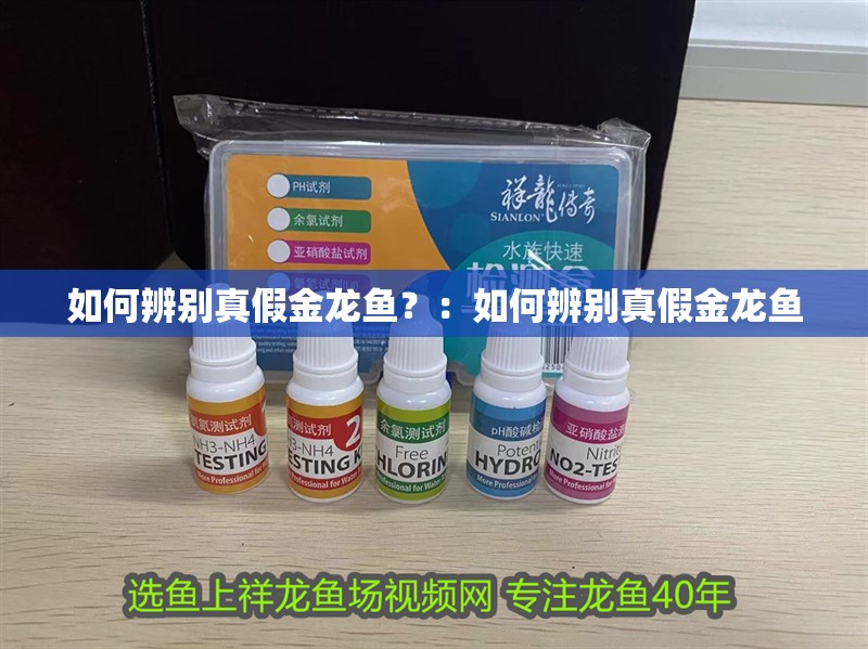 如何辨別真假金龍魚？：如何辨別真假金龍魚