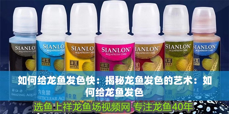 如何給龍魚發色快：揭秘龍魚發色的藝術：如何給龍魚發色
