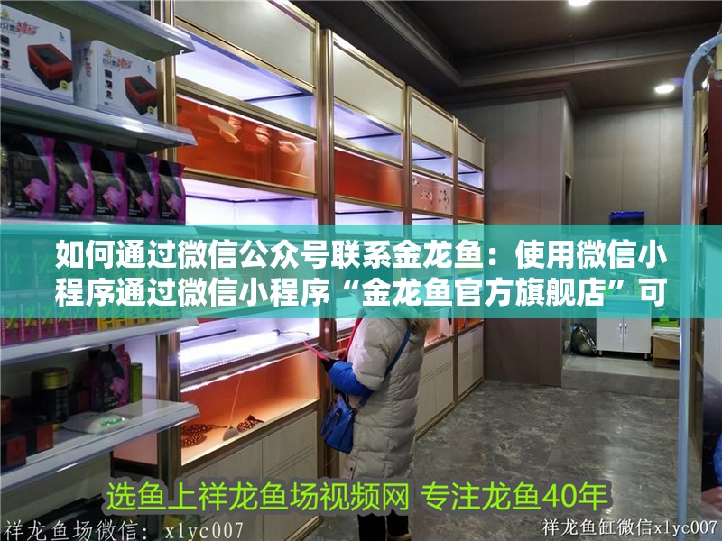 如何通過微信公眾號聯(lián)系金龍魚：使用微信小程序通過微信小程序“金龍魚官方旗艦店”可直接選購