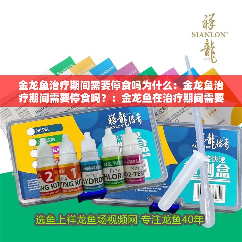 金龍魚治療期間需要停食嗎為什么：金龍魚治療期間需要停食嗎？：金龍魚在治療期間需要停食嗎，金龍魚治療期間需要停食嗎
