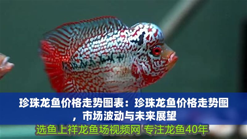 珍珠龍魚價格走勢圖表：珍珠龍魚價格走勢圖，市場波動與未來展望
