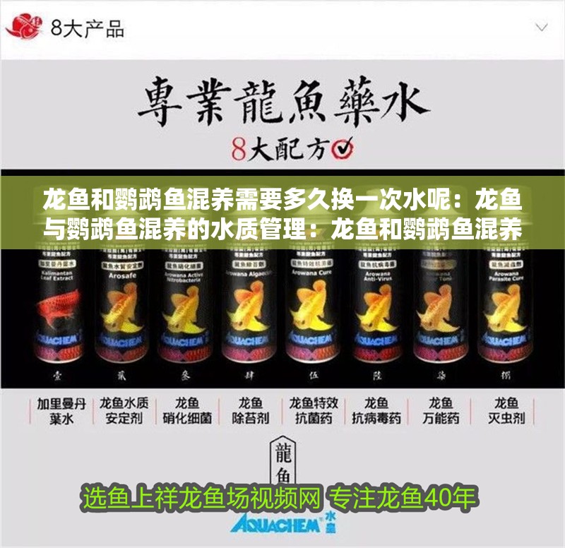 龍魚和鸚鵡魚混養(yǎng)需要多久換一次水呢：龍魚與鸚鵡魚混養(yǎng)的水質管理：龍魚和鸚鵡魚混養(yǎng)時需要多久換一次水