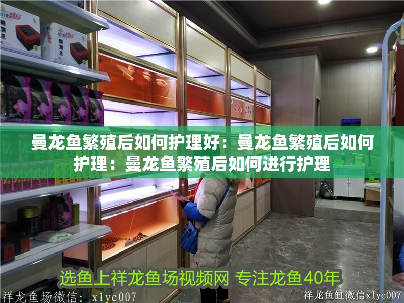 曼龍魚繁殖后如何護理好：曼龍魚繁殖后如何護理：曼龍魚繁殖后如何進行護理