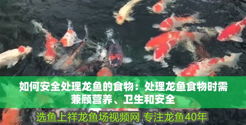 如何安全處理龍魚的食物：處理龍魚食物時需兼顧營養、衛生和安全
