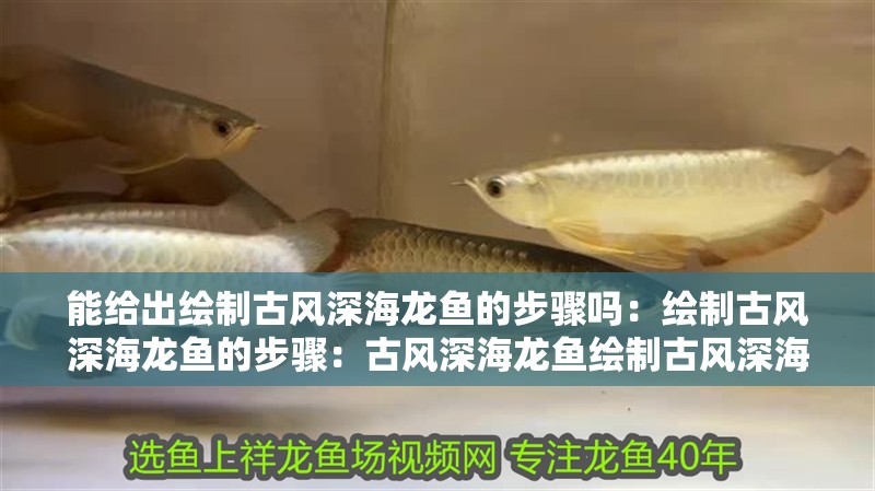 能給出繪制古風深海龍魚的步驟嗎：繪制古風深海龍魚的步驟：古風深海龍魚繪制古風深海龍魚的處理步驟