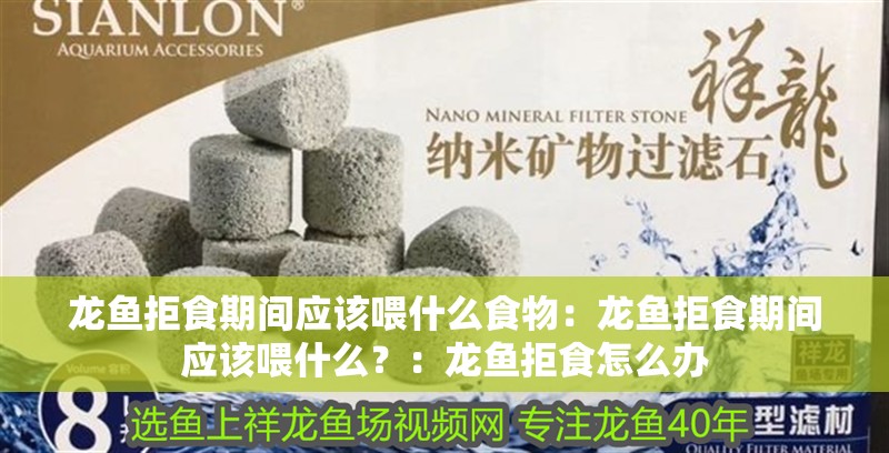 龍魚拒食期間應(yīng)該喂什么食物：龍魚拒食期間應(yīng)該喂什么？：龍魚拒食怎么辦