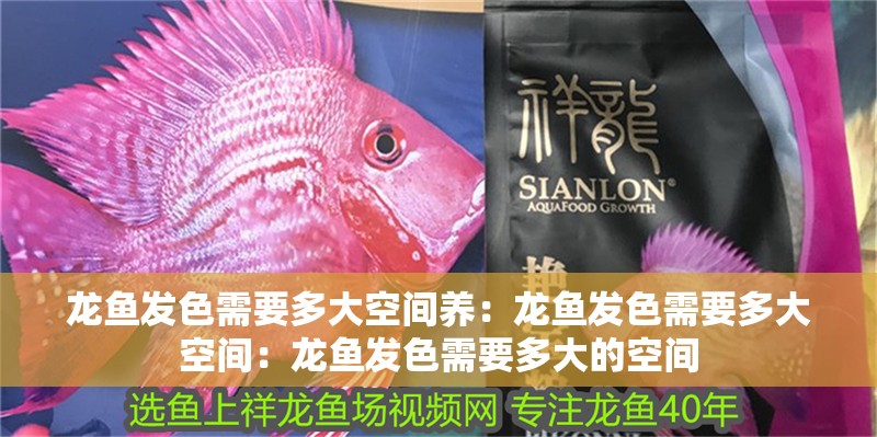 龍魚發色需要多大空間養：龍魚發色需要多大空間：龍魚發色需要多大的空間