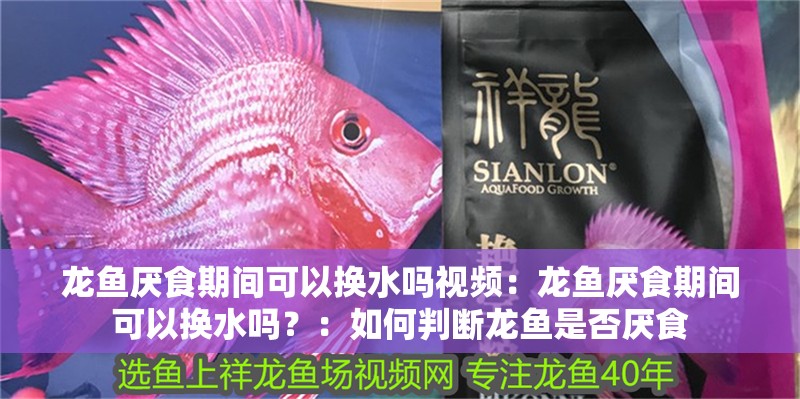 龍魚厭食期間可以換水嗎視頻：龍魚厭食期間可以換水嗎？：如何判斷龍魚是否厭食