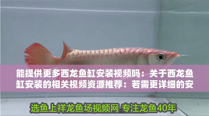 能提供更多西龍魚缸安裝視頻嗎：關于西龍魚缸安裝的相關視頻資源推薦：若需更詳細的安裝教程